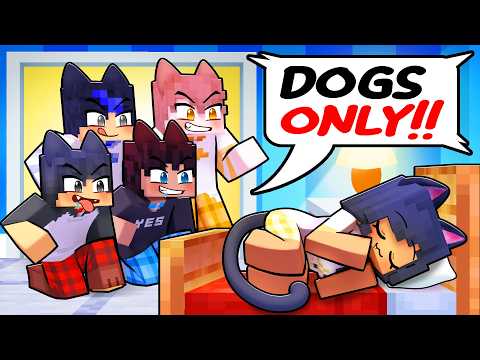 ONE CAT at an ALL DOGS Sleepover!