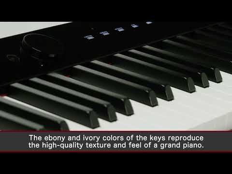 Casio PX-S1000 Privia 88-Key Slim Digital Console Piano 2010s - Black image 3