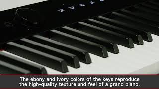 Video thumbnail for Privia PX-S1000 Tutorial Video | CASIO by CASIO Music Global