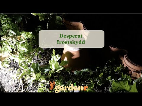 Desperate frost protection - Gardenhacks by GardenR