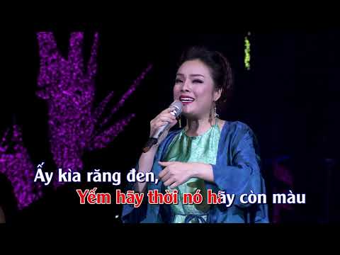 Đào Liễu - Tân Nhàn | Karaoke