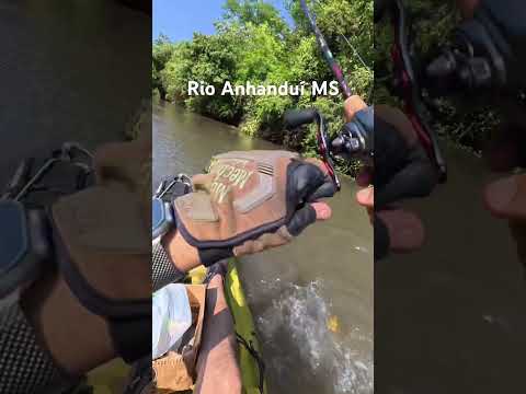 Descida 6 km Rio Anhanduí, Nova Alvorada do Sul, MS