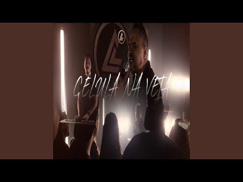 Célula Na Veia - Niddo Martins