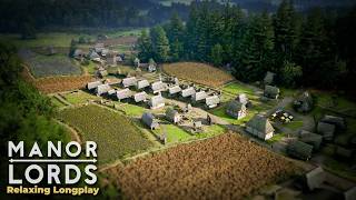 MANOR LORDS Relaxing Longplay - Building the PERFECT Medieval Village... | Stress Relief & Sleep