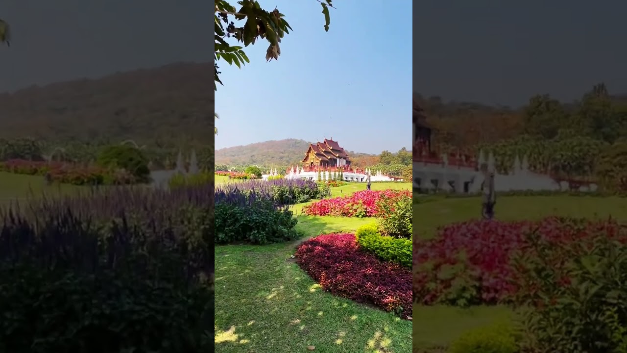 YouTube Short thumbnail