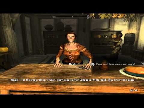 The Elder Scrolls V: Skyrim - Proof that Elves are gay