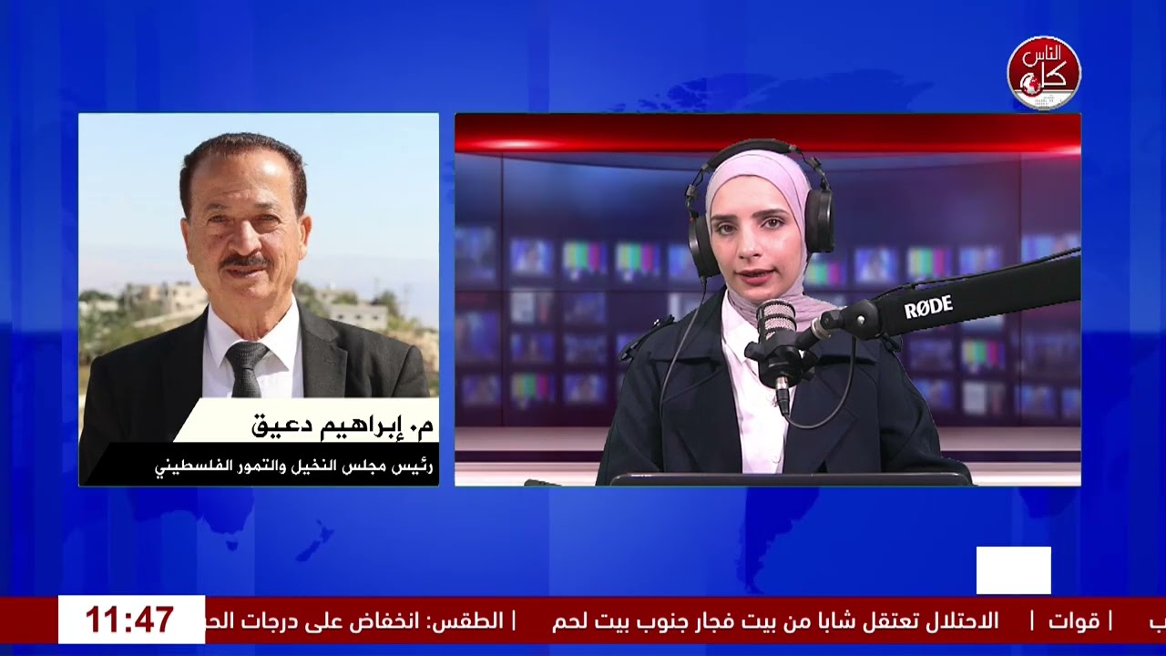 التمور الفلسطينية.. موسم الحصاد بين الانتاج والتسويق