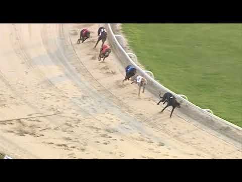 2018 STAR SPORTS DERBY PLATE - HEAT 2 - T4 DROOPYS EXPERT
