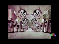 Looney Tunes Katnip Kollege 1938 Intro Outro From TV Plus 7 Jr On Demand