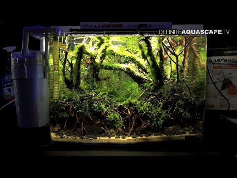 The Art of the Planted Aquarium 2017 - Nano tanks 23-25