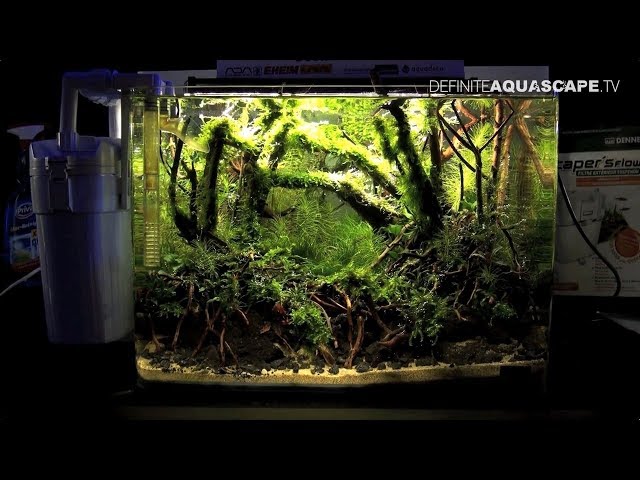 The Art of the Planted Aquarium 2017 - Nano tanks 23-25