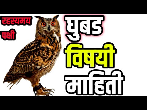 ghubad vishay mahiti | ghubad chi mahiti marathi | घुबड पक्षी माहिती मराठी | घुबडाची माहिती | ghubad