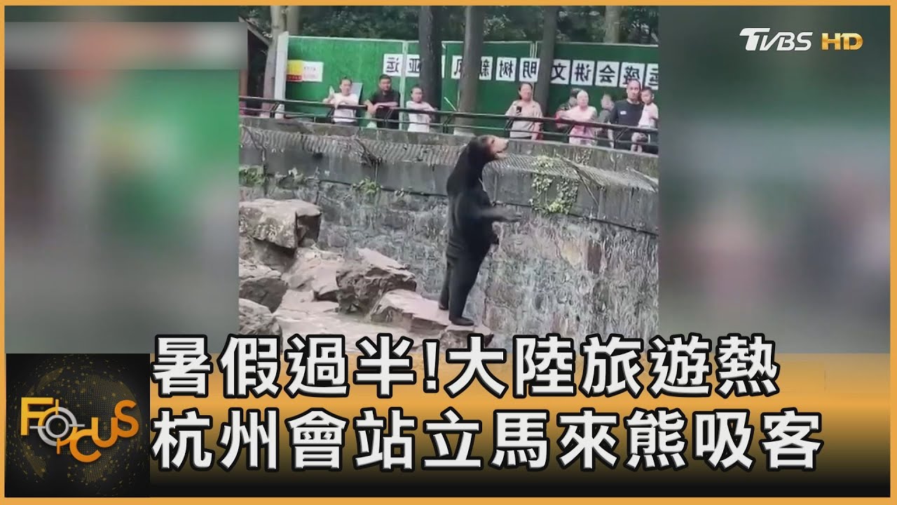 暑假過半!大陸旅遊熱 杭州會站立馬來熊吸客