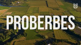 Les Proverbes de la Bible — Compilation de Sagesse et d’Inspiration