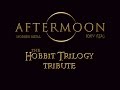 AFTERMOON - Hobbit (OST Cover) 