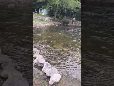 la granja , balneario la toma en la pcia de Córdoba ⛰️ 26/1/26