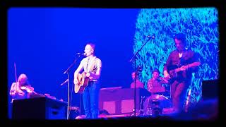 belle and sebastian - the stars of track and field