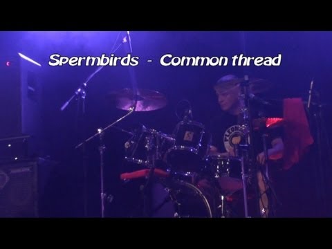 Spermbirds - Common thread (live)