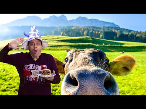 Tradiční Německý recept na masové Frikadelle s karamelizovanou cibulkou (Karbanátky)