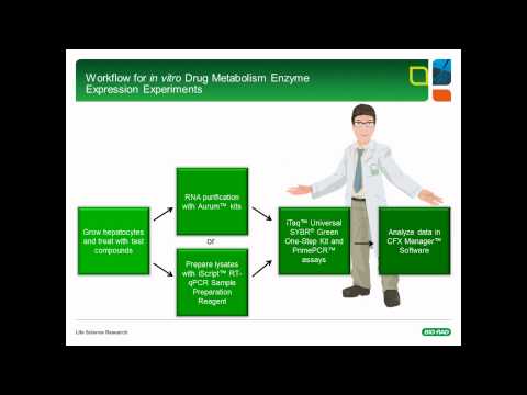 DM/PK Analysis with iTaq™ Universal SYBR® Green One-Step Kit and PrimePCR™ Assays