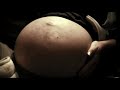 Alien Slips In The Girl S Guts Alien Inside Belly Belly Growl And Gurgle