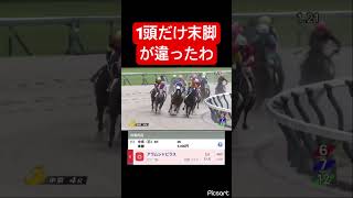 【完敗】1頭だけ末脚が違いすぎて諦め #競馬