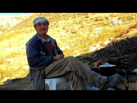 The Lifestyle, Habits, and Traditions of Lebanon's Shepherds with Mansour Tawk - Bcharre