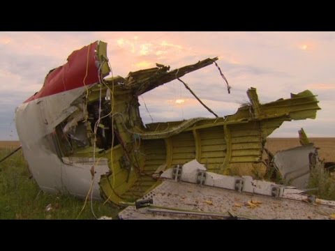 Inside the MH17 crash site