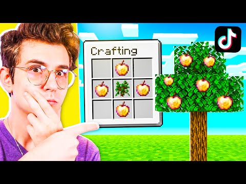 I'M TRYING THE WORLD'S MOST VIRAL TIK TOKS ON MINECRAFT ITA! (Ep. 55)