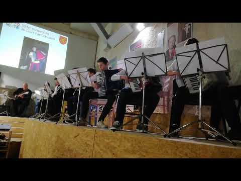 Harmonikarski orkester  Glasbena šola Marjana Kozine Novo mesto - Despacito