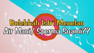 Download lagu Tanya Jawab | Dalil Tentang Hukum Menelan Air Mani/ Sperma mp3 Download lagu Tanya Jawab | Dalil Tentang Hukum Menelan Air Mani/ Sperma mp3