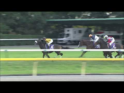 2010 Japan Cup (G1) | JRA Official