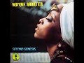 Wayne Shorter: Pay As You Go