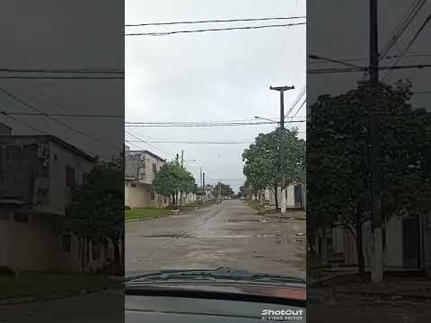 Título: Otoño en Tucumán | Entre hojas y humedad 