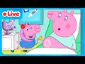 LIVE George Pig And Baby Evie Adventures Peppa Pig Evie Pig Full Episodes Kids Cartoons