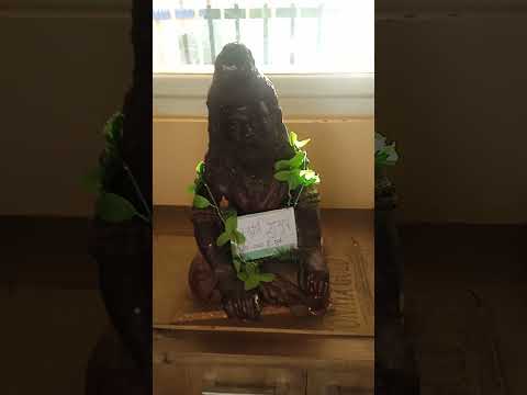 Writers Of Brihatrayee Samhitas#charaksamhita #sushrutsamhita #ashtanghriday