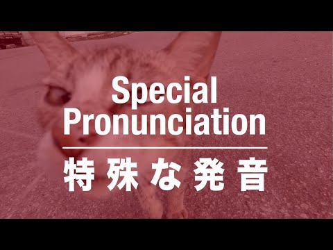 [ Special Pronunciation ] Long Vowels / Double Consonants / With Small や,ゆ,よ / 特殊な発音