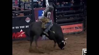 Download lagu Will Purcell bull riding 2019 season mp3