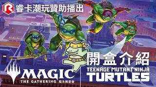 【魔風開包】忍者龜連動！開一盒常規盒　MTG|魔法風雲會|開卡包|忍者龜|睿卡潮玩