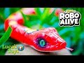 Unboxing and testing Zuru Robo alive snake