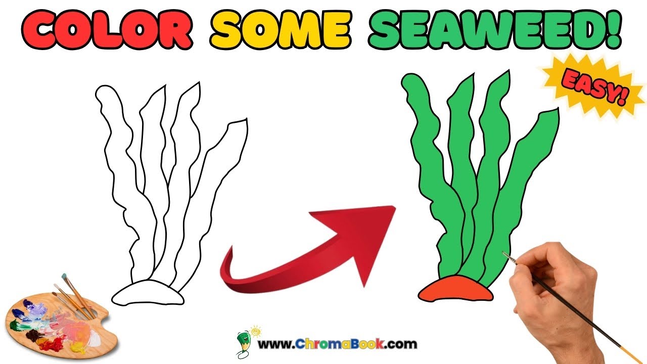 Seaweed Drawing, Painting, Coloring for Kids, Toddlers and Adults – Fun and Relaxing