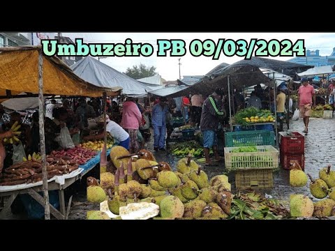 FEIRA LIVRE DE UMBUZEIRO PARAIBA 09/03/2024