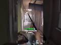 How Thomas Jane Got Thrown Through A Wall As The Punisher
