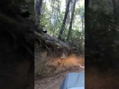 how most of the drive is, besides the 10% that is mud