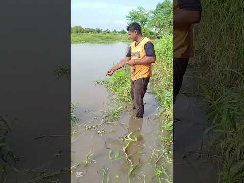 cómo se o pesca #pescador #automobile #automobile #smartphone #pescasub
