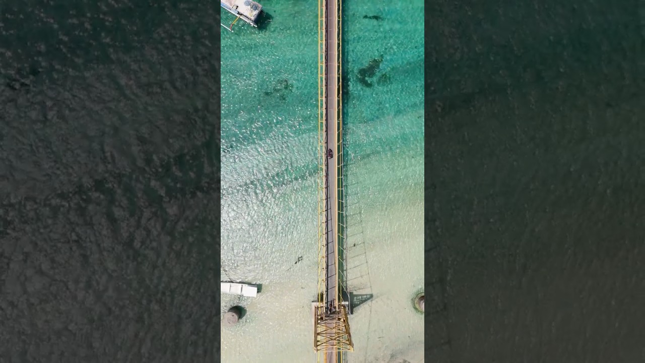 YouTube Short thumbnail