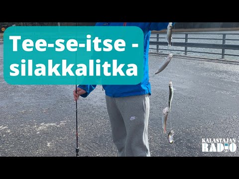 Tee-se-itse -silakkalitka