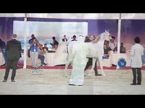 RL SIENNA (SMA MAGIC ONE ❌ REDWOOD LOGGE SAFFRON)