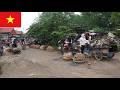 Vietnam Village Life Near Hanoi No Tourists Just Real Countryside Market