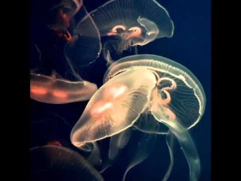 ATB ft Jansoon - Move on (2011 Distant Earth)